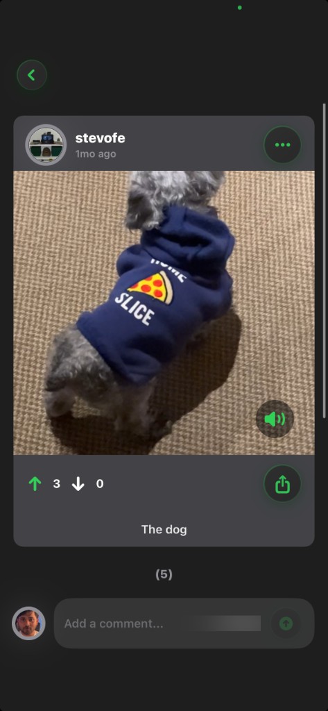 Ribbit post detail screenshot